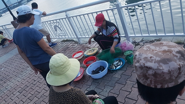 다낭 한강에서 생선을 팔고 있는 상인들. [사진=석태문]