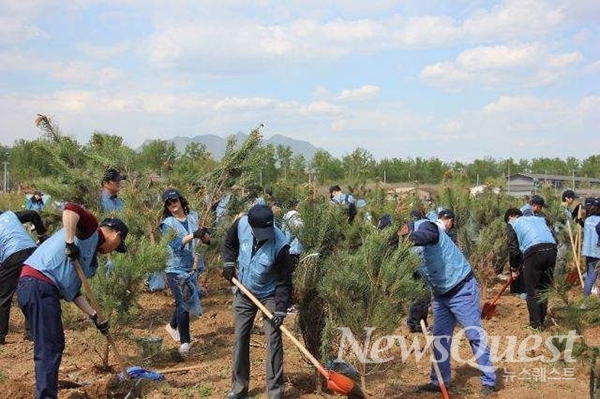 베이징 왕징에 조성된 포스코 숲을 청소하는 베이징 지사 직원들.