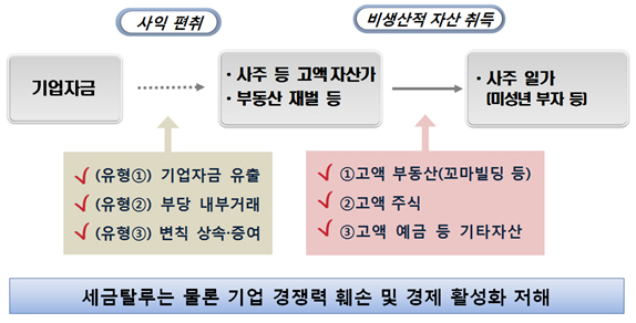 탈세혐의 고액 자산가 등 주요 조사사례. [사진=국세청]