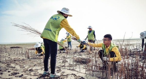 지난 8월 중국 하기노르 지역에서 ‘현대그린존 프로젝트’ 봉사단이 내몽고 사막화 방지 활동을 하고 있다. [사진=현대차그룹]