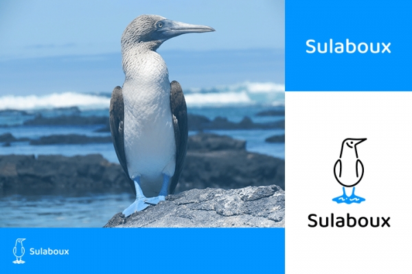 갈라파고스 제도에서 서식하는 희귀종 푸른발 부비새(Sula nebouxil)와 슬라부의 로고. [사진=슬라부]