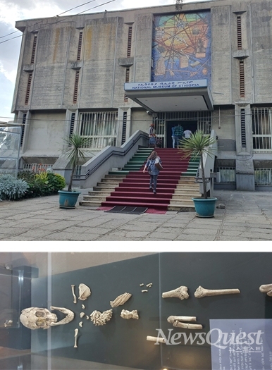 에티오피아 국립박물관(위)과 318만년 전에 존재했다는 오스트랄로피테쿠스 아파렌시스 종인 루시(Lucy)의 유골.