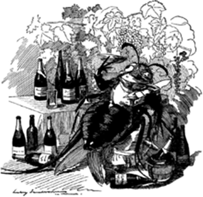 1890년 영국의 유머와 풍자 주간지 Punch에 소개된 필록세라 삽화로 여기에는 ‘진정한 미식가, 필록세라는 가장 좋은 와이너리들을 찾아내고 가장 좋은 와인에만 달려든다’라고 소개되어 있다고 한다. [사진=위키디피아]