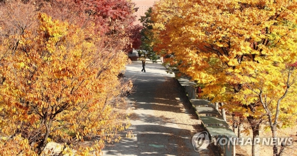 완연한 가을 날씨가 이어지고 있는 가운데 서울 도봉구 덕성여자대학교에서 학생이 캠퍼스를 거닐고 있다. [사진=연합뉴스]