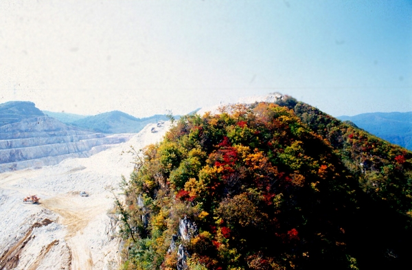 자병산 정상을 허물던 2003년 10월 8일의 모습. 자병산의 마지막 가을 풍경이었다. [사진=허태임(국립백두대간수목원 연구원)]
