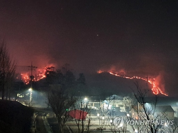지난 21일 경북 안동시 임동면 망천리 야산에서 불이 나 주변으로 번지고 있다. [사진=연합뉴스]