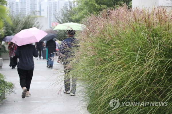대체공휴일이었던 지난 4일 오후 서울 중구 서울로7017에서 우산을 쓴 시민들이 산책을 하고 있다. [사진=연합뉴스]