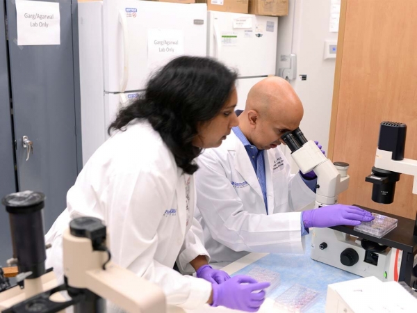 미국 텍사스 주립대학 사우스웨스턴 메디컬 센터 연구팀이 첨단 생명공학 기술인 크리스퍼(CRISPR)를 이용해 백색지방을 갈색지방으로 전환하는데 성공했다. [사진=멕시코 주립대학]미국