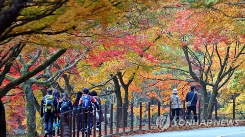 3일 전북 정읍시 내장산에서 행락객들이 물들어가는 단풍을 보며 가을 정취를 만끽하고 있다. [연합뉴스]
