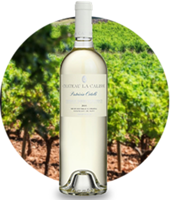 오르텔리 바이오 블랑(프로방스에서 가장 비싼 화이트 와인 중의 하나로 유명한 유기농 와인이다.)