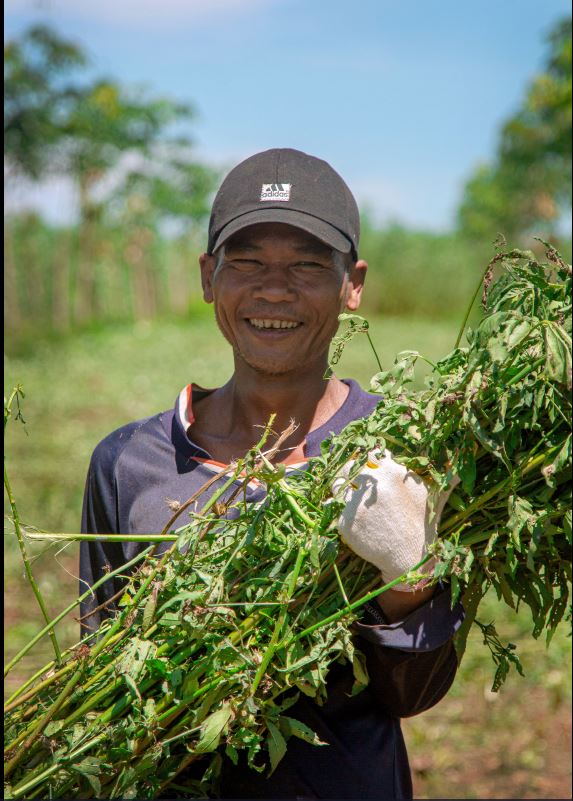 '케나프 코-비엣 홀딩스'가 개간한 케나프 농장의 베트남 인부가 케나프를 수확한 뒤 포즈를 취했다.[사진=류기남 사진작가]