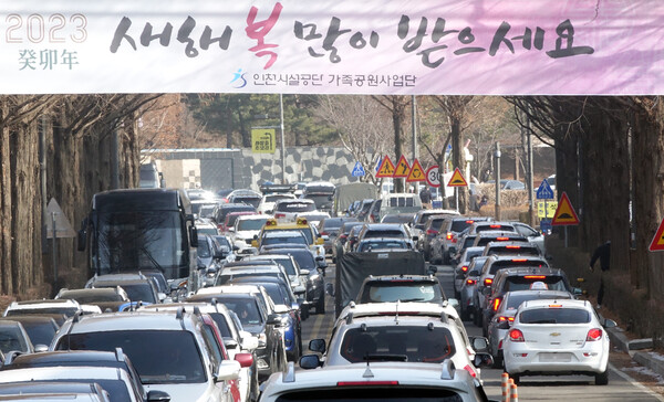비고 축제기간 자동차보험특약 - 교대운전, 렌트카, 긴급출동/무상견인(교통사고시 대처방법)