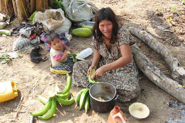 과학적으로 보고된 심장과 뇌 질환 비율이 가장 낮은 지역 가운데 하나는 볼리비아 저지대의 열대 숲에 거주하는 아마존 원주민 공동체인 것으로 알려져 있다. 그래서 그동안 많은 연구들이 여기에 집중돼 왔다. 사진은 치마네 부족. [사진=​​​​​​Tsimane Health and Life History Project Team]