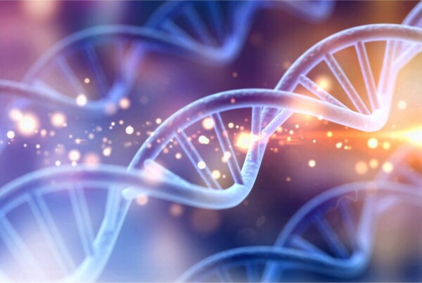 최근 과학자들은 공기 중에 유전물질인 환경 DNA가 포함돼 있다는 것을 발견했다. 8500피트의 고도에서 닭, 소, 그리고 인간의 환경 DNA의 존재를 확인했다. [사진=Nature Metrics]