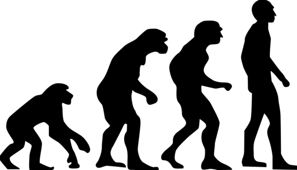 인간은 다양한 진화 단계를 거치면서 다른 포유류보다 특별하게 진화했다. 오늘날 인간이 만물의 영장으로 존재할 수 있는 이유다. [사진=위키피디아]