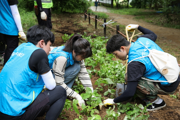 KT&G복지재단이 북한산 생태복원을 위한 나무 식재 봉사활동을 진행했다. 사진은 지난 10일 행사에 참여한 대학생 자원봉사자들이 묘목을 심고 있는 모습. [사진=KT&G]