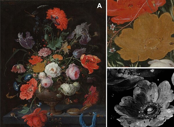 17세기 르네상스시대의 걸작품인 얀 다비드존 드 힘의 "유리 꽃병 속의 꽃의 정물화"(왼쪽). X선으로 촬영한 튀색한 노란 들장미의 모습(오른쪽 하단). 과학자들은 색소의 퇴ㅐ색은 빛보다 습도 영향이 크다고 주장했다. [사진=​​Science]