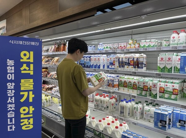 흰우유 가격이 10월부터 출고가 기준으로 L당 3% 오른다. 한 소비자가 농협 판매대에서 우유를 고르고 있다. [사진=연합뉴스]