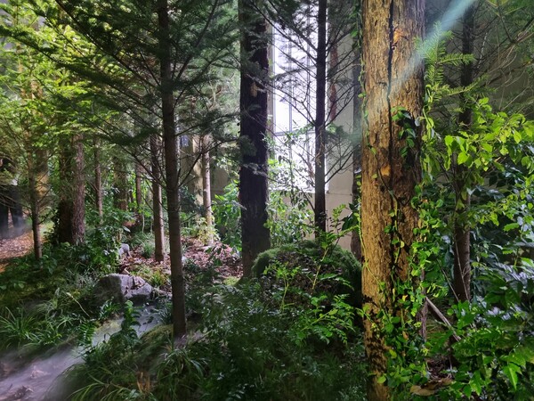 코오롱스포츠가 기획한 'EVERGREEN ENERGY' 전시 1층에서 구경할 수 있는 전나무 숲길. [사진=김민우 기자]