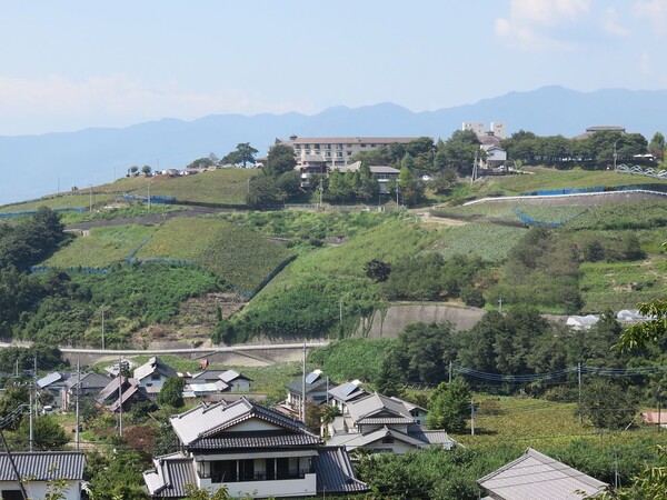 일본 야마나시현 코슈의 와이너리 출처 : 위키피디아