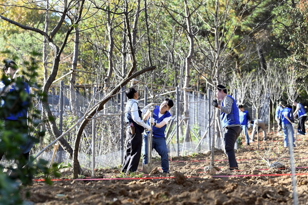 삼성생명 임직원들이 지난 2일 서울 은평구 둘레길에서 조경수를 심는 식목 봉사를 하고 있다. [삼성 제공=뉴스퀘스트]