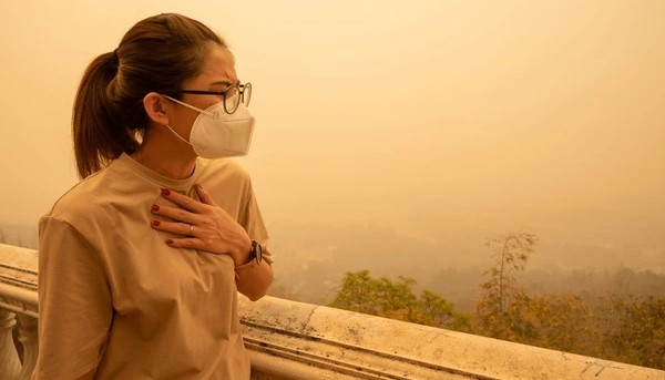 대기 오염의 영향은 단순한 호흡기 질환으로 끝나지 않는다. 만성 심혈관 질환을 일으키고, 이로 인한 사망률도 높인다는 연구 결과가 나왔다. [사진=S​​​​​shuterstock free image]