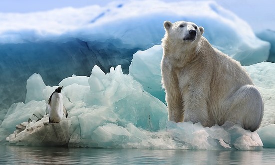 미국 콜로라도 대학교 볼더 캠퍼스(CU 볼더)가 주도한 새로운 연구는 불과 몇 년 안에 북극에서 사실상 얼음이 없는 여름을 경험할 가능성을 경고하고 있다. [사진=픽사베이]