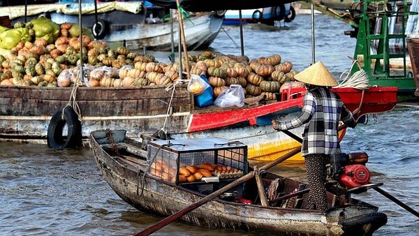 메콩강은 베트남에 풍요로움을 선사하는 젖줄이다. 그러나 최근 기후변화로 많은 바닷물이 경작지로 스며들면서 연간 약 30억 달러의 농작물 손실에 직면해 있는 것으로 알려졌다. [사진=픽사베이]