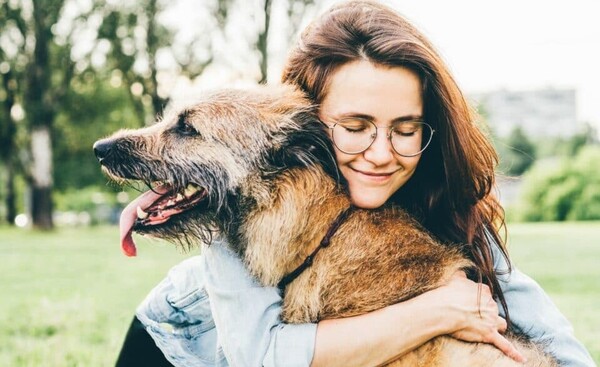 개는 사람의 스트레스를 냄새로 맡을 수 있다. 최근 과학자들은 특별히 훈련된 개들이 사람의 호흡에서 특정 화합물을 냄새로 맡도록 해 외상 후 스트레스장애(PTSD) 초기 징후를 감지할 수 있다는 사실을 발견했다. [사진=픽사베이]