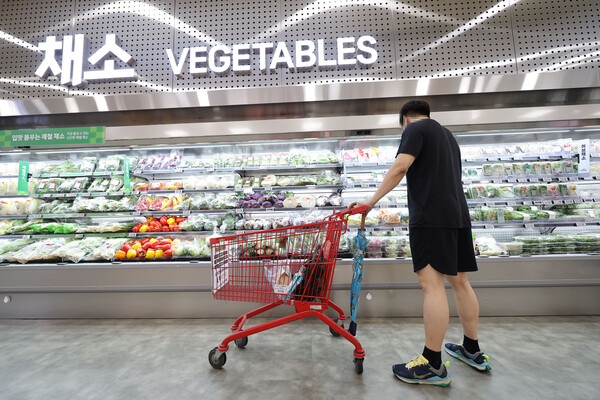 24일 한국은행이 발표한 ‘소비자동향조사’ 결과에 따르면 7월 기대인플레이션율은 전월보다 0.1%포인트 하락한 2.9%를 기록한 것으로 집계됐다. 서울의 한 대형마트 채소 판매대. [사진=연합뉴스]