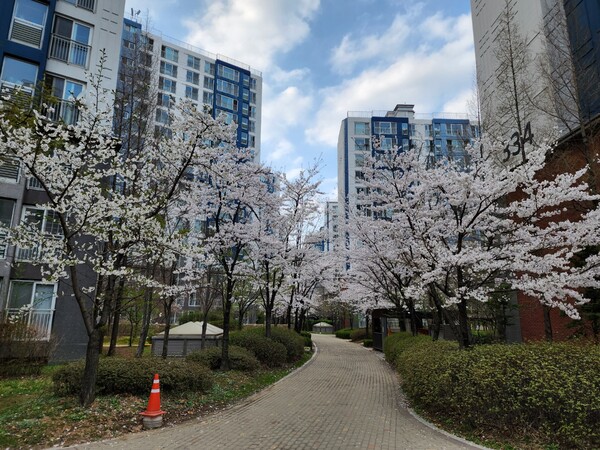 8월 넷째 주에는 전국 6곳에서 총 1345가구(도시형생활주택·오피스텔·민간임대 포함, 행복주택 제외)가 청약 접수를 받는다. 사진은 서울 강동구 한 아파트 단지 전경 [사진=뉴스퀘스트]