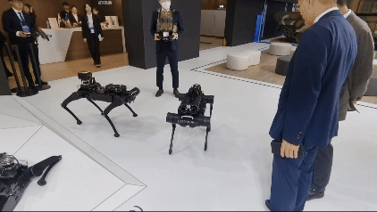 현대로템이 KADEX 2024에서 선보인 무인 다족 보행 로봇 모델. 앞뒤, 좌우 전환이 자연스럽게 이뤄지고 있다. [영상=김민우 기자]