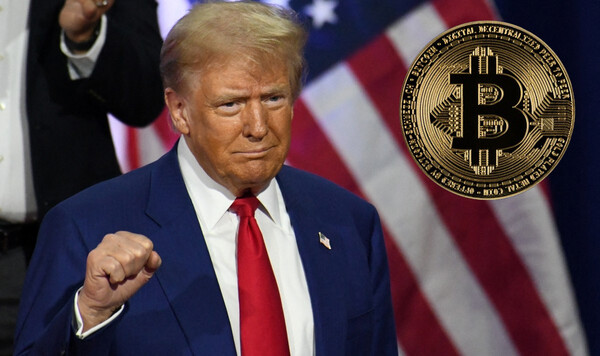 [사진=연합뉴스/픽사베이]