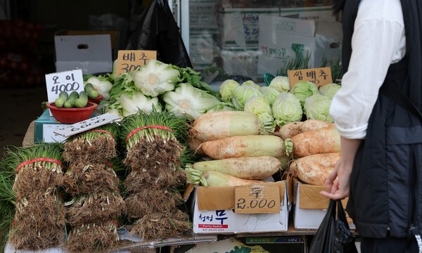 5일 통계청이 발표한 소비자물가 동향에 따르면 소비자물가 상승률은 두 달 연속 1%대를 기록했지만, 채소류 가격은 여전히 고공행진을 이어가고 있는 것으로 집계됐다. 서울 한 전통시장 상점에 진열된 김장재료 모습. [사진=연합뉴스]