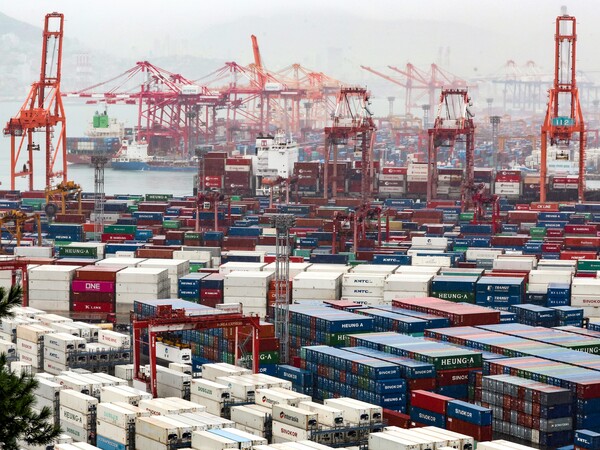 '미국 자국 우선주의' 기조를 갖고 있는 도널드 트럼프 전 대통령이 올해 미국 대선에서 승리하면서 전 세계 무역 질서가 혼란에 빠질 것으로 전망됐다.  부산항 신선대·감만부두에 수출입 화물이 쌓여있는 모습. [사진=연합뉴스]