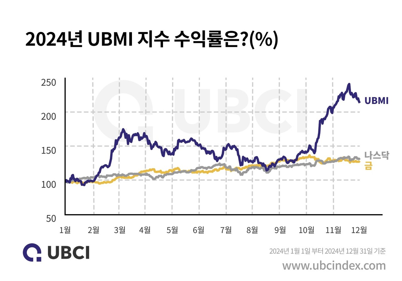 2024년 UBMI 지수 수익률. [업비트 제공=뉴스퀘스트]
