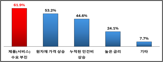 기업들은 올해 실적 달성에 부담이 되는 요인으로 제품(서비스 )수요 부진을 1위로 꼽았다. [사진=경총] 