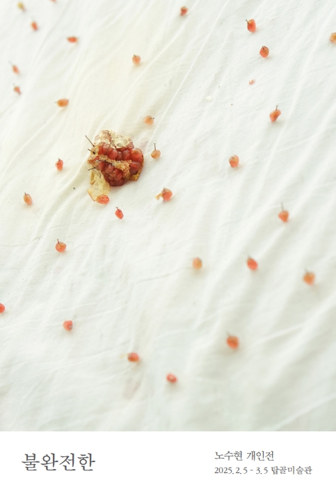 노수현의 첫 개인전 '불완전한' 포스터. [사진=서울노인복지센터]