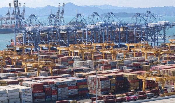 부산 강서구 부산항 신항 부두 야적장. [사진=연합뉴스]