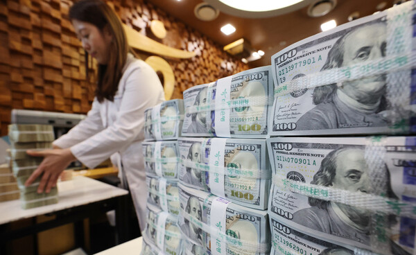 KB국민·NH농협·신한·우리·하나은행(가나다 순) 등 5대 은행의 개인 외화계좌 수는 지난 2월 27일 기준 1037만7744개인 것으로 집계됐다. 서울 중구 하나은행 위·변조 대응센터 직원이 달러를 정리하고 있는 모습. [사진=연합뉴스]