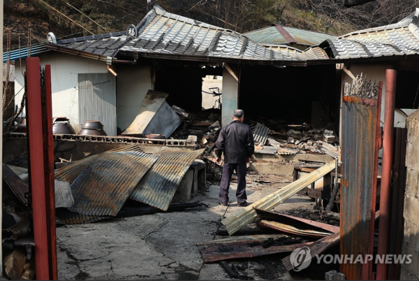 산불이 덮쳐 폐허가된 산청군 마을의 한 주민이 집안을 살펴보고 있다.[사진=연합뉴스] 