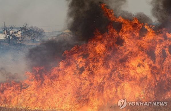 의성 지역의 산불이 강풍에 불씨가 이동하면서 인접 마을까지 위협하고 있다.[사진=연합뉴스]