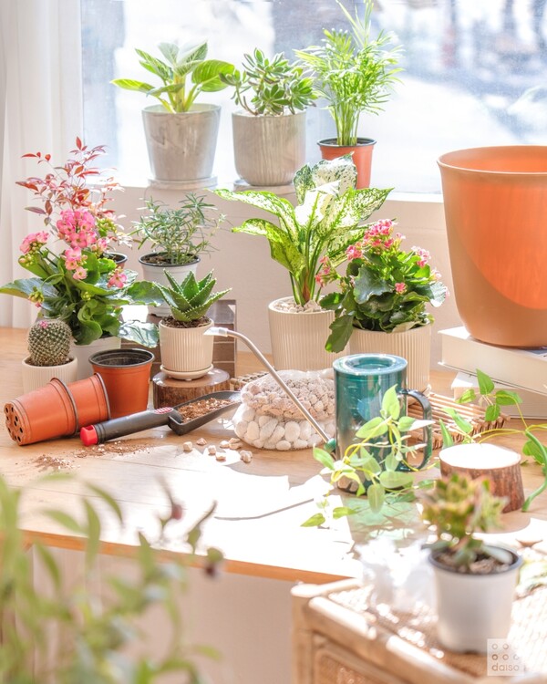 [사진=아성다이소 제공]