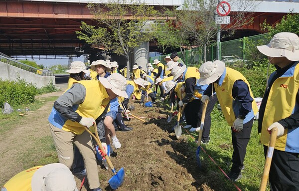 26일 OCI그룹 임직원들이 OCI 숲에서 나무를 심고 있다. [사진=OCI홀딩스]