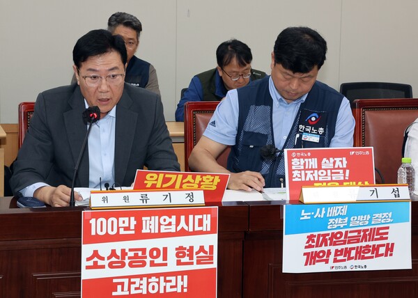 최저임금위원회 사용자위원인 류기정 한국경영자총협회 전무(왼쪽)가 19일 정부세종청사에서 열린 최저임금위원회 제6차 전원회의에서 발언하고 있다. 오른쪽은 근로자위원인 류기섭 한국노총 사무총장. [사진=경총]