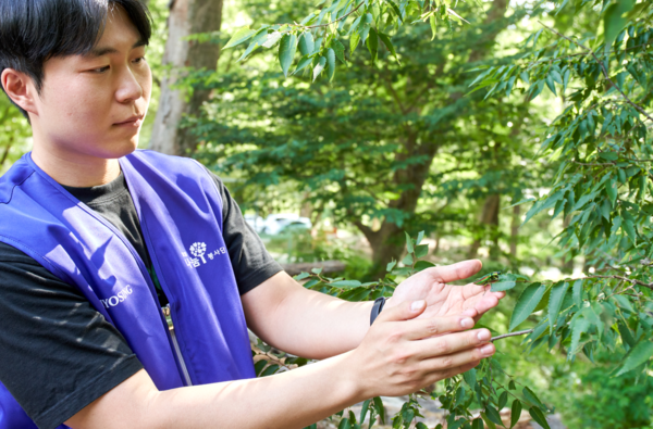 효성그룹 임직원이 인공증식에 성공한 비단벌레를 자연에 방사하고 있다. [사진=효성]