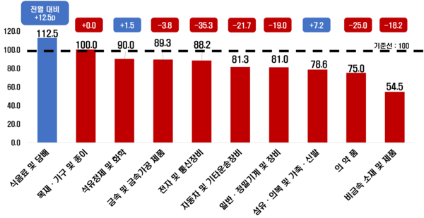 제조업 세부업종 7월 전망 BSI 지수. [사진=한경협]
