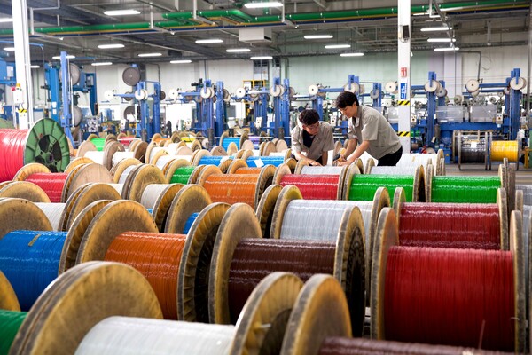 LS전선 직원들이 데이터 케이블을 생산하는 모습. [사진=LS전선]