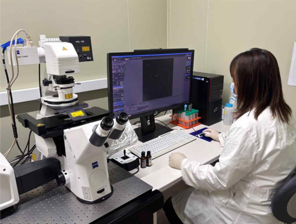 연구팀은 이번 연구에서 국내산 6년근 인삼을 100시간 이상 반복적으로 찌고 말리는 전통 방식으로 만든 흑삼을 사용했다. 사진은 연구진이 컨포칼 이미지를 촬영하고 있다. [사진=경희대학교]