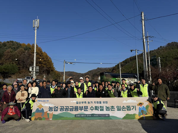 11일 NH농협은행 농업·공공금융부문 임직원들이 강원도 홍천군 모곡리 자매결연 마을을 찾아 농촌 일손 돕기를 실시했다. [사진=NH농협은행]